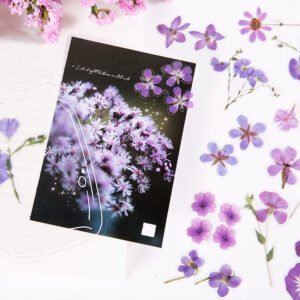 glimmer of light refreshing plant pet sticker pack b3