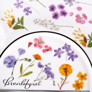 glimmer of light refreshing plant pet sticker pack c