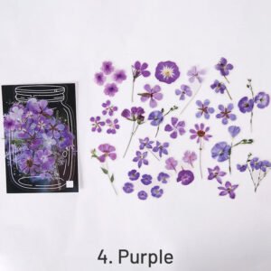 glimmer of light refreshing plant pet sticker pack sku 4
