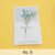 9.Baby's Breath Blue