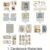 1. Cardstock Materials (11 pcs / pack)