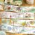 5. Complete Set (10% OFF)