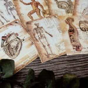 vintage human anatomy material paper 7