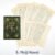 5. Meiji Novel
