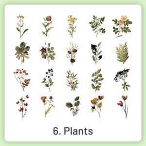 natural history museum insect and plant pvc stickers sku 6