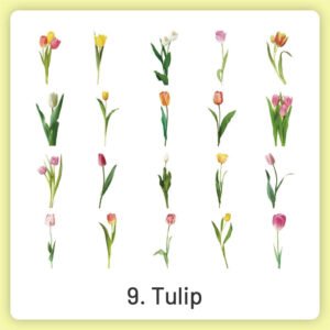 natural history museum insect and plant pvc stickers sku 9