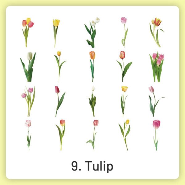 natural history museum insect and plant pvc stickers sku 9
