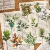 natural history museum insect and plant vinyl stickers b3