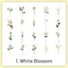 natural history museum insect and plant vinyl stickers sku 1
