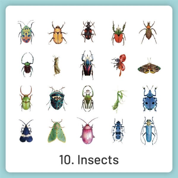 natural history museum insect and plant vinyl stickers sku 10