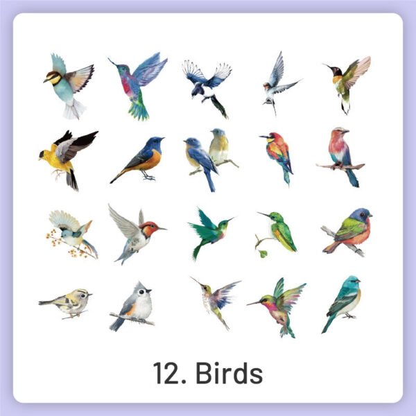 natural history museum insect and plant vinyl stickers sku 12