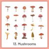 natural history museum insect and plant vinyl stickers sku 13