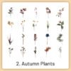 natural history museum insect and plant vinyl stickers sku 2