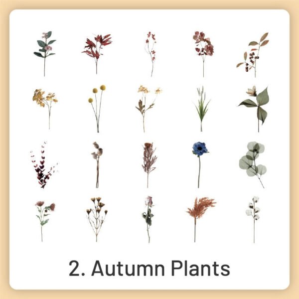natural history museum insect and plant vinyl stickers sku 2