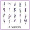 natural history museum insect and plant vinyl stickers sku 3