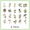 natural history museum insect and plant vinyl stickers sku 6