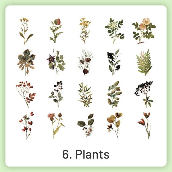 natural history museum insect and plant vinyl stickers sku 6