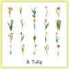 natural history museum insect and plant vinyl stickers sku 9