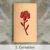 2. Carnation