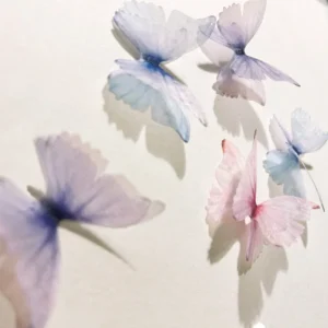 Dream Translucent Double Layer Decorative Butterfly