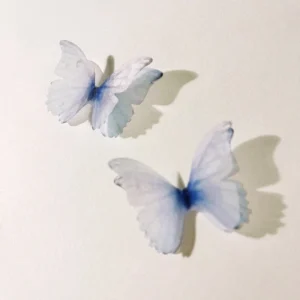 dream translucent double layer decorative butterfly 2