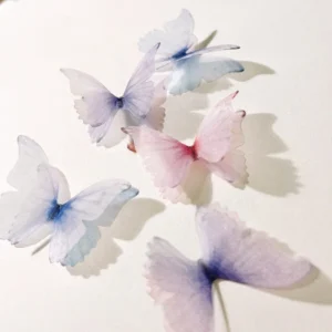 dream translucent double layer decorative butterfly 6