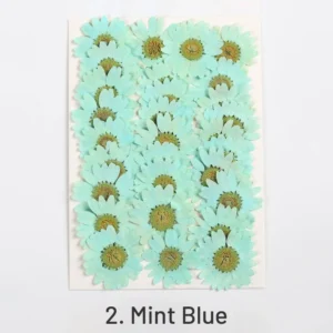 dried chrysanthemum flower embossed diy plant 3