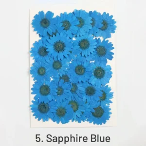 dried chrysanthemum flower embossed diy plant 4