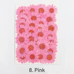 dried chrysanthemum flower embossed diy plant 5