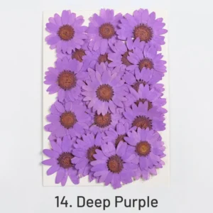 dried chrysanthemum flower embossed diy plant 7