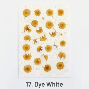 dried chrysanthemum flower embossed diy plant 8