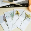 Dried Flower Greeting Card - Baby's Breath, Forget-Me-Not
