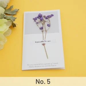 dried flower greeting card babys breath 10