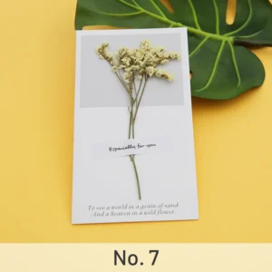 dried flower greeting card babys breath 12