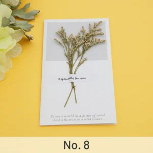 dried flower greeting card babys breath 13