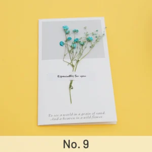 dried flower greeting card babys breath 14