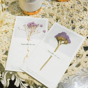 dried flower greeting card babys breath 2