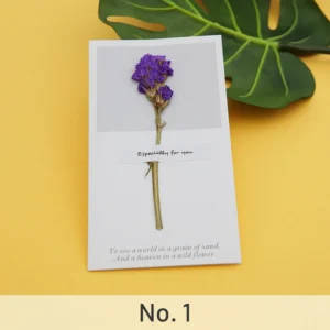 dried flower greeting card babys breath 6