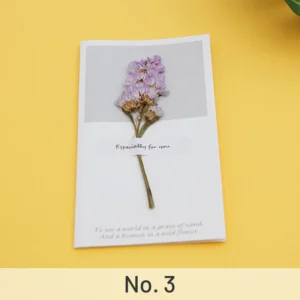dried flower greeting card babys breath 8