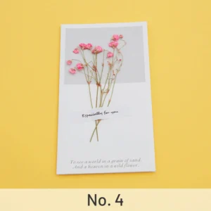 dried flower greeting card babys breath 9