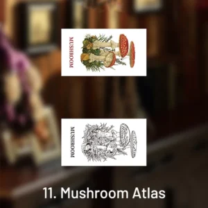 earthly world vintage text illustration wooden 19