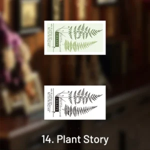 earthly world vintage text illustration wooden 22