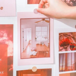 everything in the world series decorative 5