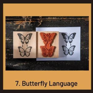 explorer specimen series vintage hollow wooden 13