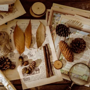 fairy tale world antique picture book 4