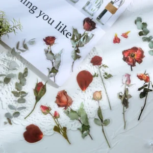 Florescence Vendor Creative Boxed Clear Transparent Flower Stickers