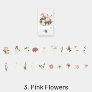 florescence vendor creative boxed clear transparent 11
