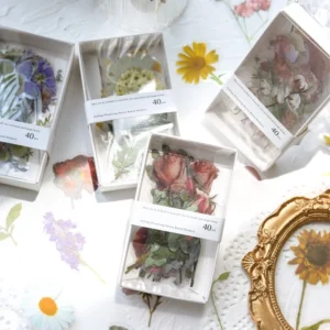 florescence vendor creative boxed clear transparent 2
