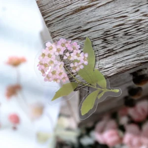 florescence vendor creative boxed clear transparent 4