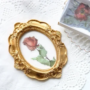florescence vendor creative boxed clear transparent 5